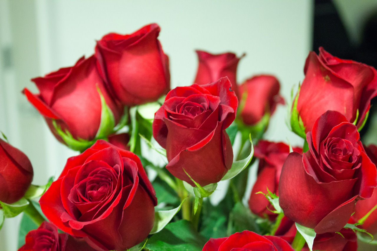 Happy Valentine’s day everybody!